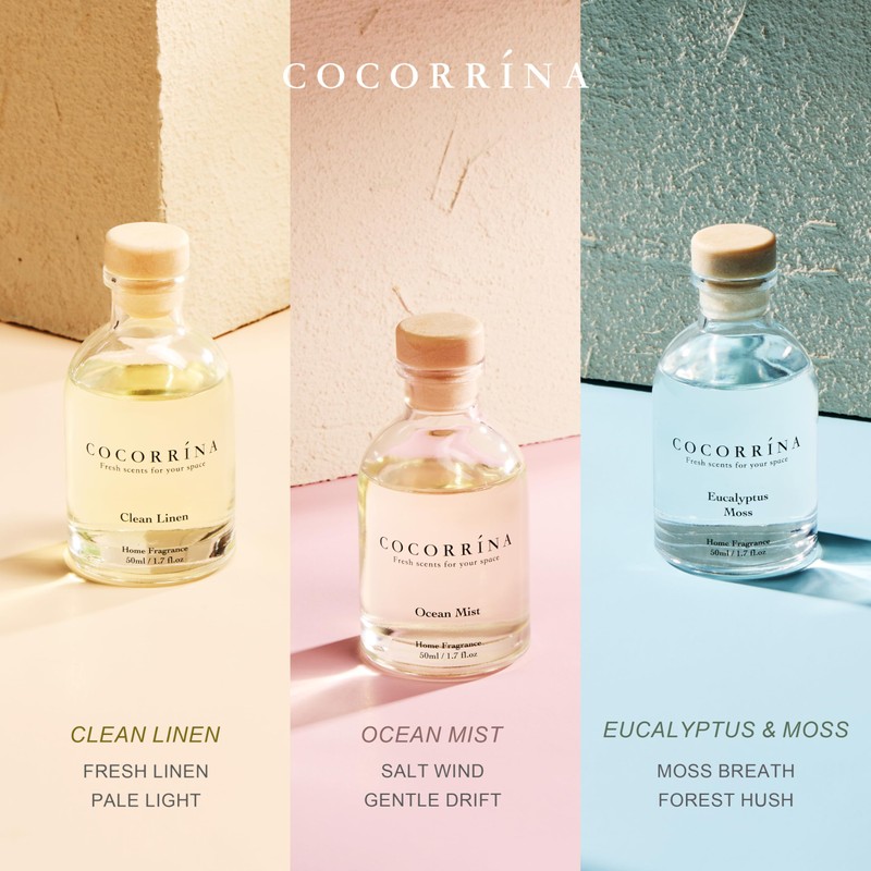 COCORRÍNA Eucalyptus Reed Diffuser Set of 3 - Eucalyptus &