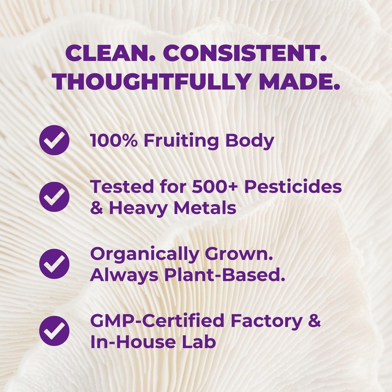 MUSHAND Lion’s Mane Mushroom Powder Sachets | Daily Cognitive Support
