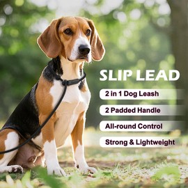 Erbine 6FT Slip Lead Dog Leash with Double Padded Handle, Anti-Tangle Slip Leads for Dogs, Reflective Nylon No-Pull Training Leash for Small Medium Dogs, Black/Hot Pink