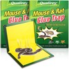 Qualirey 2 Pack Large 13" x 21" Snake Trap Glue