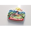 3D -SWITZERLAND ZURICH ALPS Fridge Magnet City Souvenir Travel Memory