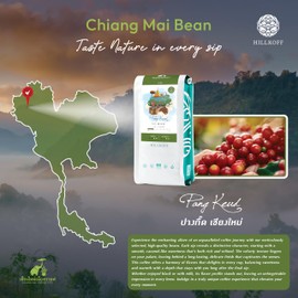 Hillkoff Coffee Beans form Northern Thai Arabica 100% Doi Pang Keud Whole Beans Coffee 8.8 Oz Thai Coffee House Coffee Thai Product