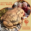 Sunthus Frog Toad Sculptures Garden Statues Yard Art Resin Decorations