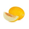 Does Not Apply Canary Melon Seeds Cucumis melo Non-GMO, Shipped