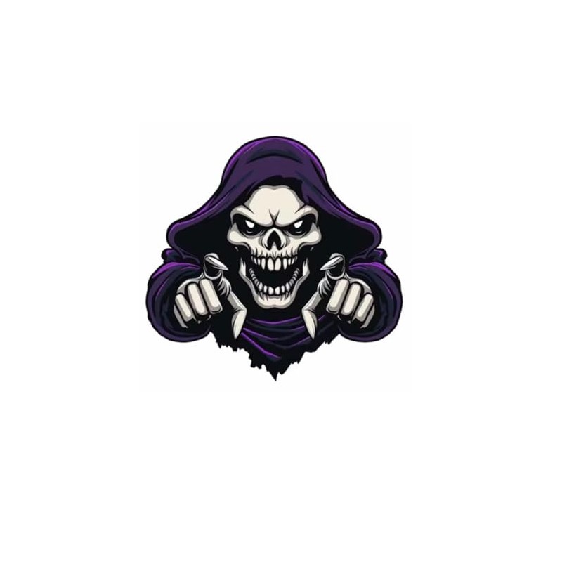 EROSPA® Car Sticker Car Motorcycle Skull