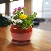 ATT Southern 077089 8" Wisteria Planter, Oxblood Red 8"