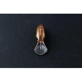 JACKALL Chibi Bli Minnow F, Clear