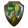 #31497 Coat of Arms AMF Badge Emblem Unit Troop Keepsake