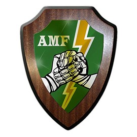 #31497 Coat of Arms AMF Badge Emblem Unit Troop Keepsake