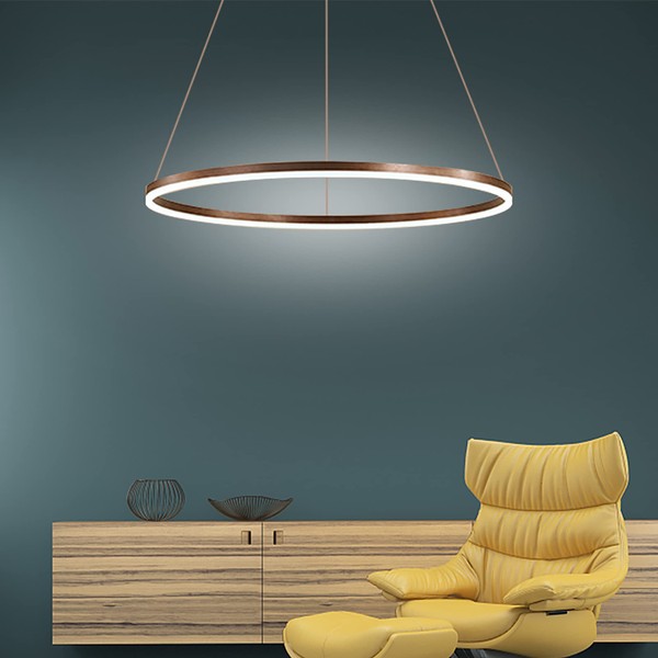 LightInTheBox Modern LED Ring Chandelier, 31.5" Halo Pendant Light Fixture Circle Minimalist Dimmable Hanging Light Metal Acrylic for Living Room Dinning Room Bedroom (Coffee)