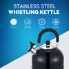 Premium Stainless Steel Whistling Kettle | 10 Colors | Stove
