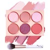 Make-up Rouge Palette with Blush Brush, 6 Colours, Matte Blush