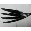 15pcs Black Raven Feather Handmade Craft Supplies Long Black Feather