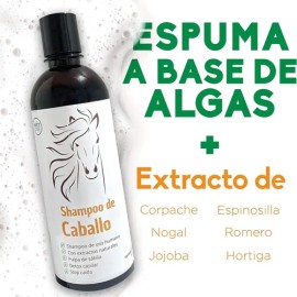 Shampoo De Romero Shampoo Anticaída De Sabila Y Jojoba