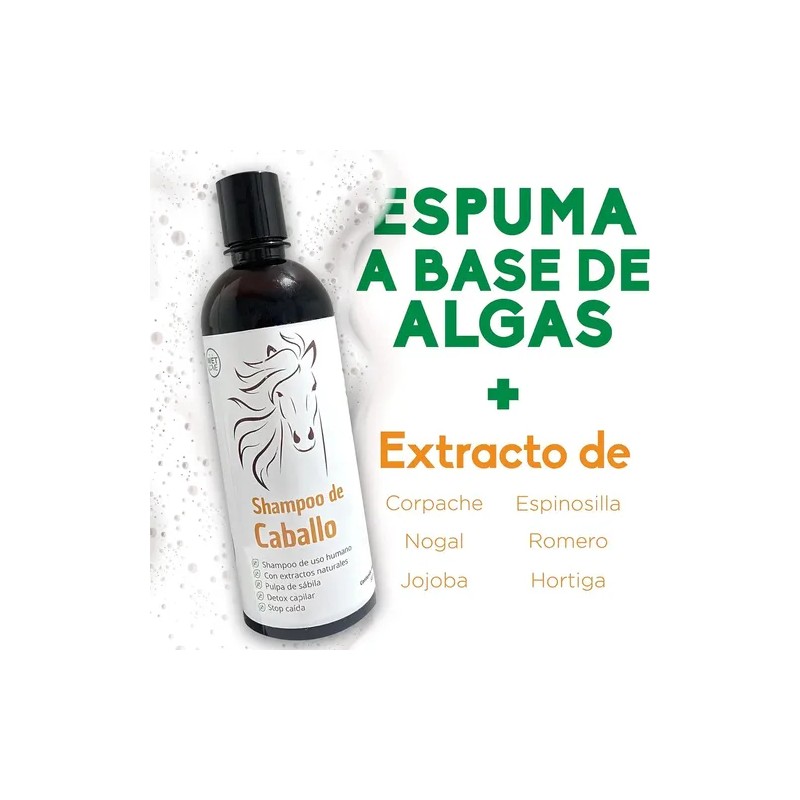 Shampoo De Romero Shampoo Anticaída De Sabila Y Jojoba