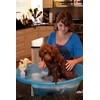 Pet Gear Pup-Tub, Bathtub for Dogs and Cats up to