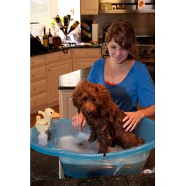 Pet Gear Pup-Tub, Bathtub for Dogs and Cats up to 20lbs, Easy Drain, Tethers Included, Aqua