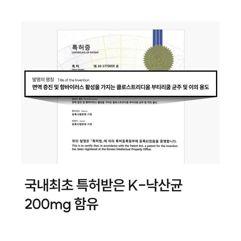 Boulardi lactic acid bacteria / 보울라디유산균 k낙산균 낙산균유산균 솔루션 프리미엄