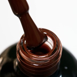 IN.HYPE UV/LED Cured Gel Polish Fall 202 - Chocolate Glaze #55