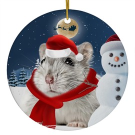 Festive Winter Night Pet and Snowman Ornament - Grey Hamster Christmas Ornament Circle Ceramic - Funny Holiday Xmas Tree Decoration Gifts for Hamster Lovers