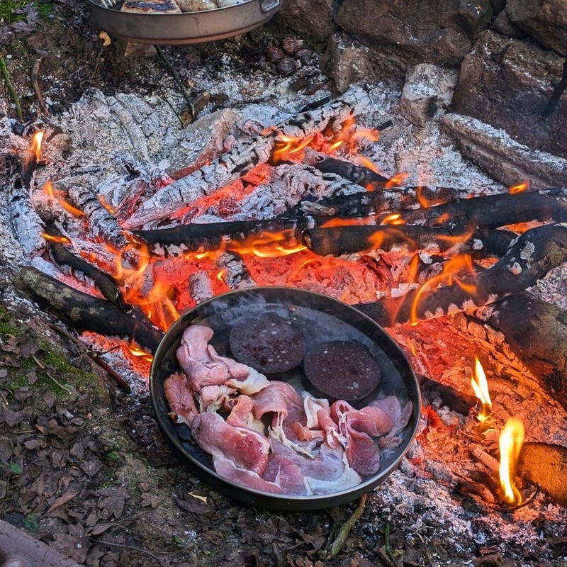 SILVERANT Titanium Camping Plates, Outdoor Dishware with Folding Handle Portable