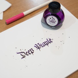Colorverse Project Ink No.003 - Deep Purple - (65ml) Fountain Pen Ink