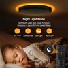 Lightania 11 Inch Flush Mount Ceiling Light with Remote Control