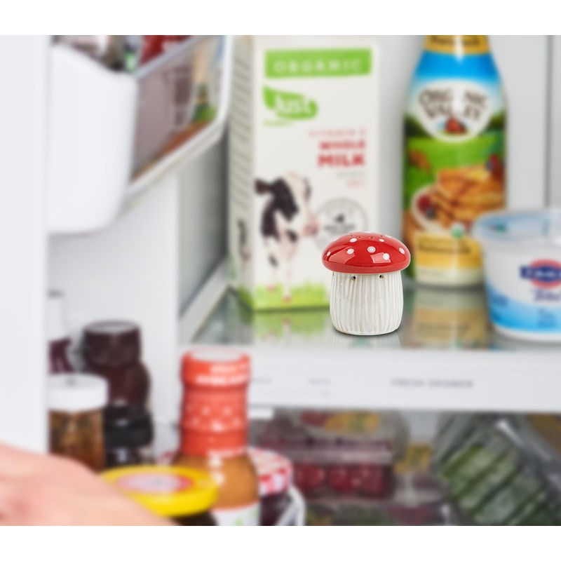 Mushroom Baking Soda Holder For Fridge Deodorizer Ceramic Baking Soda