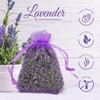 OLILLY 2022 HARVEST - Sachets of Lavender from Provence –