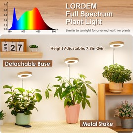LORDEM Bamboo Base Desktop Grow Light, LED Plant Lamp with Full Spectrum, 4 Adjustable Brightness Levels, 4H/8H/12H Auto Timer for Indoor Plants Growing, Height Adjustable 7.8"-26", 1 Pack