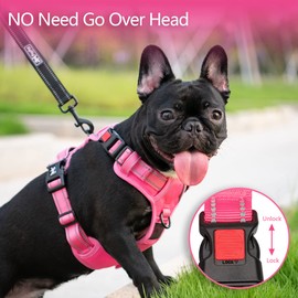 PoyPet No Pull Dog Harness, No Choke Reflective Dog Vest, Adjustable Pet Harnesses with Easy Control Padded Handle for Small Medium Large Dogs(Pink Matching Trim,M)