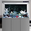 MIRRORANG 61x30cm Dark Scary Aquarium Background Trees Road Mist Horror