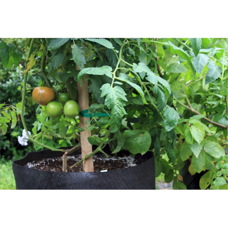 Smart Pots 7-Gallon Smart Pot Soft-Sided Container, Black with Cut