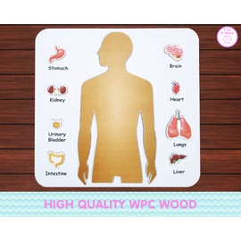 Preschool Game for Learning Human Body Parts Anatomy Skeleton - Educational Wooden Puzzles – Gift Toys for Boy and Girl