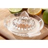 Judge Kitchen TC372 Glass Citrus Juicer, 40ml, Dishwasher Safe -