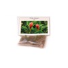 Pink Hawaiian Ginger Alpinia Purpurata Roots and Plants Kanoa Hawaii