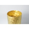 Horie Niigata Prefecture Tsubame made in Titanium Double Tumbler Cotta