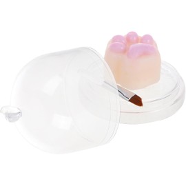 GANAZONO Bálsamo Labial Forma de Pata de Gato, Crema Hidratante para Labios Secos, Color Duradero, Adecuado para Otoño E Invierno