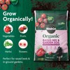 Miracle-Gro Organic Raised Bed & Garden Soil with Quick Release