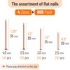 Mr. Pen- Nail Assortment Kit, 600 Pcs, 4 Sizes, Rose