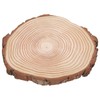Natural Wood Slices Unfinished Wood Circles Ornaments Irregular Wood Slices