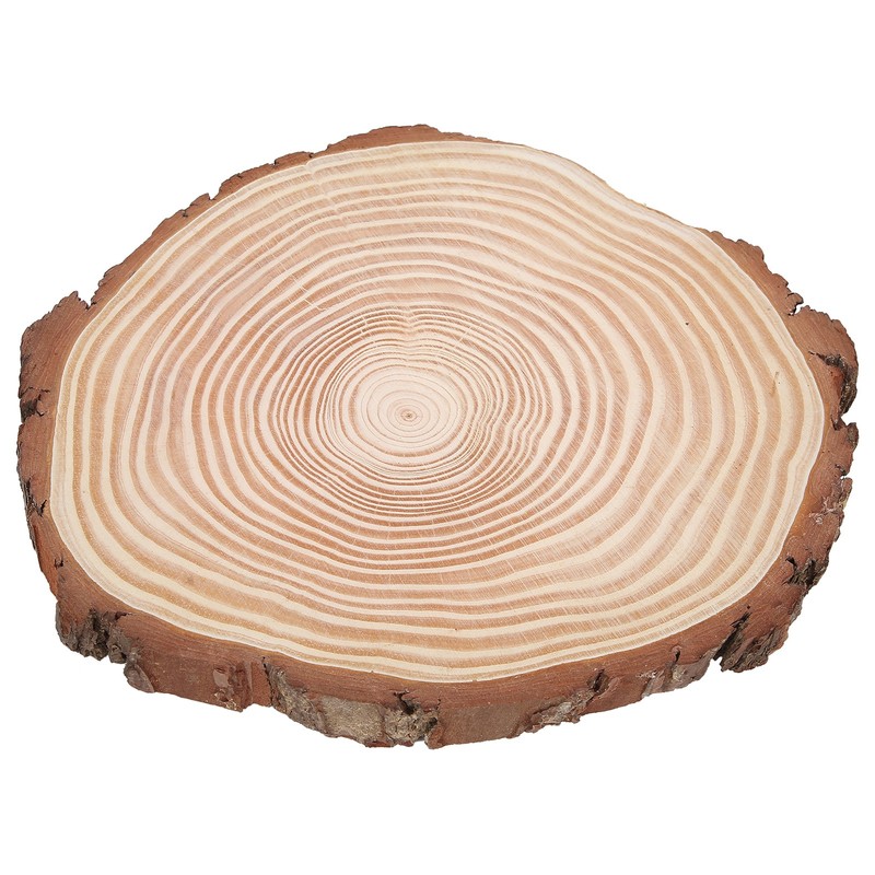 Natural Wood Slices Unfinished Wood Circles Ornaments Irregular Wood Slices