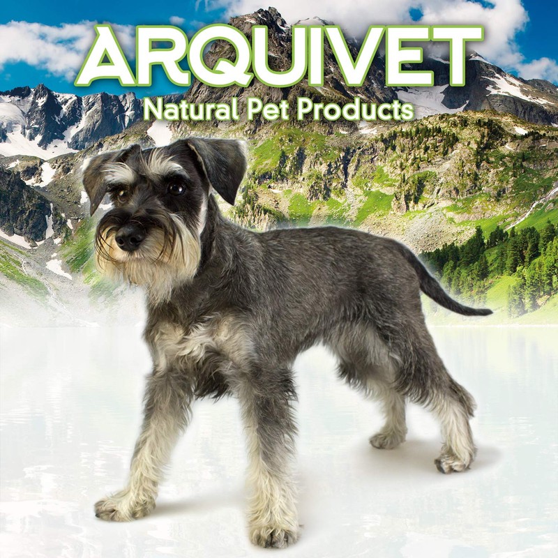 Arquivet Veterinary Necklace - 1 Piece