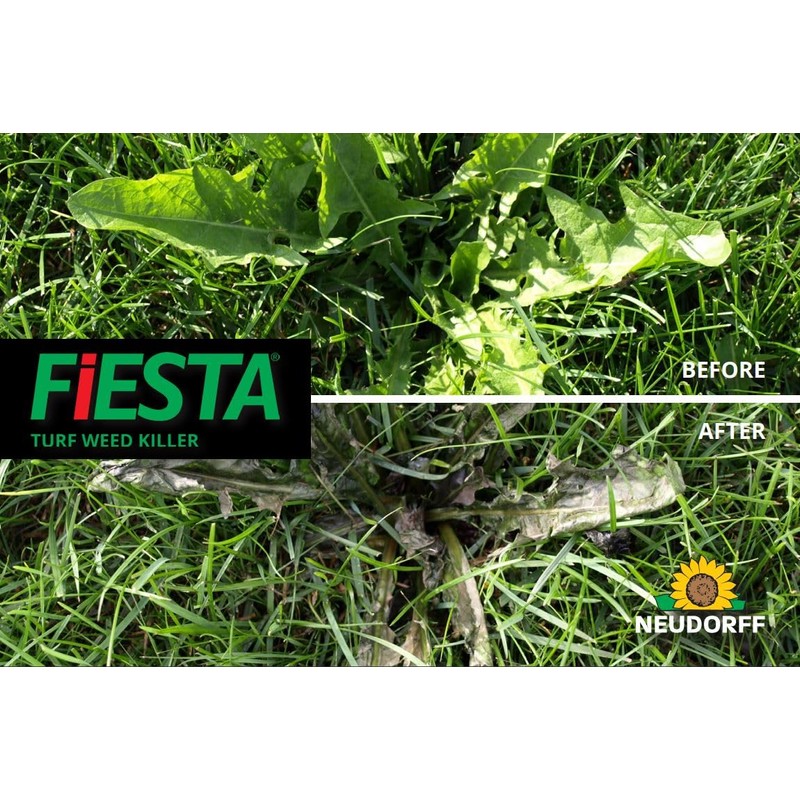 Fiesta: Turf Weed Killer Herbicide Concentrate | People & Pets