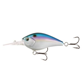 Cliff Banger 15ft Fantasy Shad