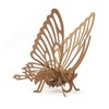 Graine Créative 3D Cardboard Model to Assemble - Butterfly
