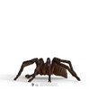 schleich 13987 Aragog, from 6 years Wizarding World - Figurine,