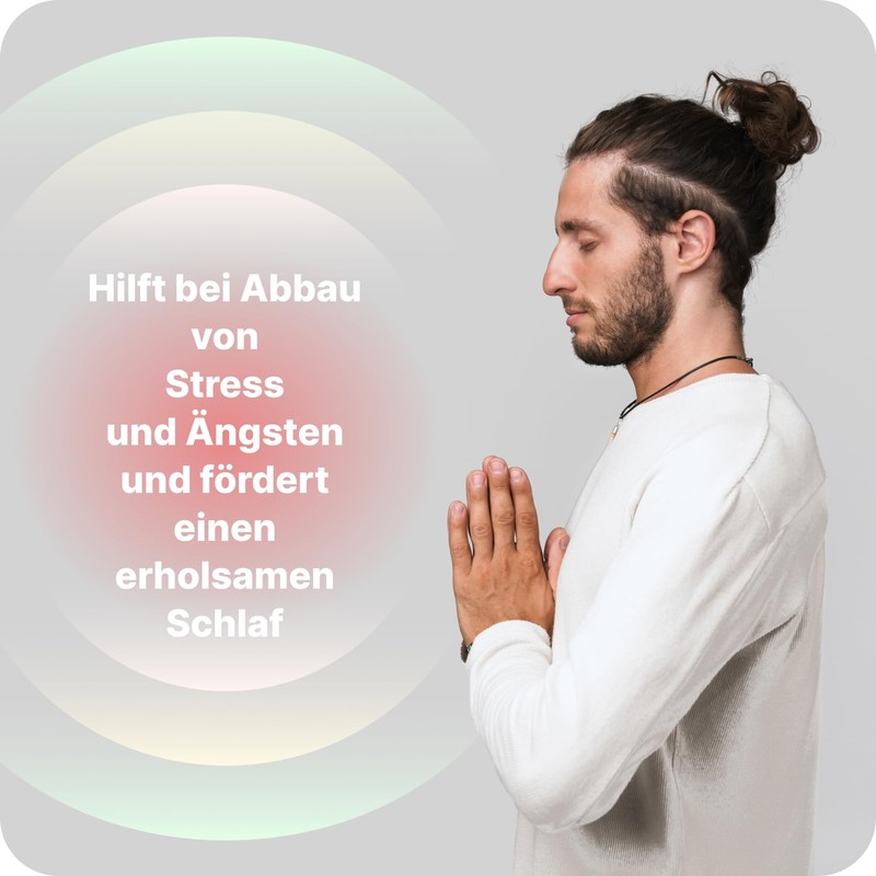 Vilgain Ashwagandha | Effective Extract KSM-66 | Anti-Stress Effect |