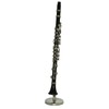 Clarinet in CASE