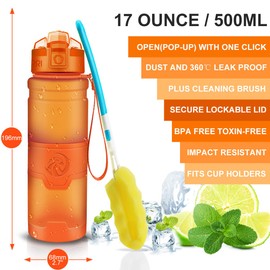 ZORRI Sport Water Bottle for Kids, 500ml/17oz - Bpa Free Eco-Friendly Tritan Plastic, Reusable Drinks Water Bottles with Filter, Leak Proof Flip Top, Open with 1-Click - for Gym, Yoga, Running